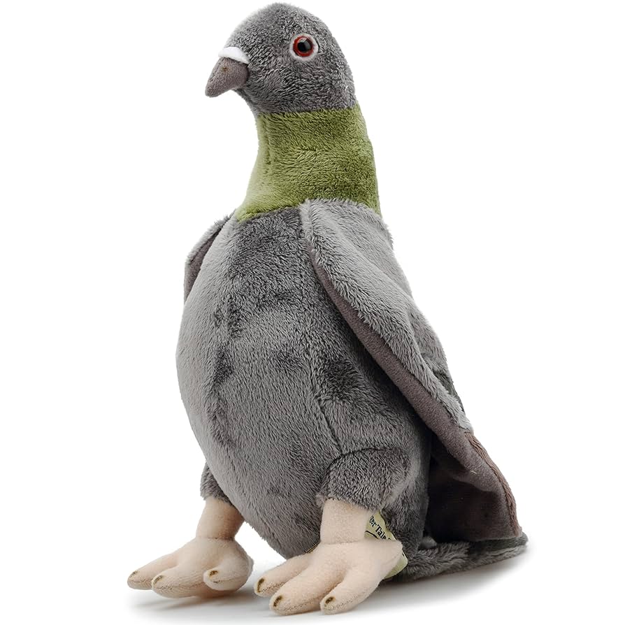 鳩ぬいぐるみ Amazon.co.jp: 鳩のぬいぐるみ - リアルなハトのぬいぐるみ | 7